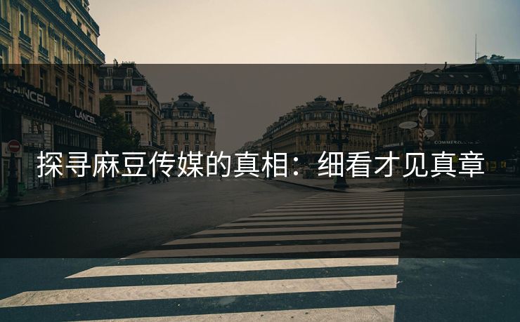 探寻麻豆传媒的真相:细看才见真章 第1张 探寻麻豆传媒的真相:细看才见真章 第1张