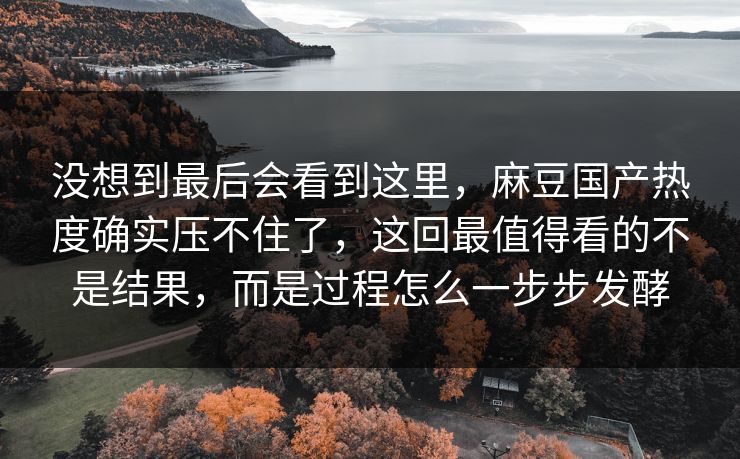 没想到最后会看到这里,麻豆国产热度确实压不住了,这回最值得看的不是结果,而是过程怎么一步步发酵 第1张 没想到最后会看到这里,麻豆国产热度确实压不住了,这回最值得看的不是结果,而是过程怎么一步步发酵 第1张
