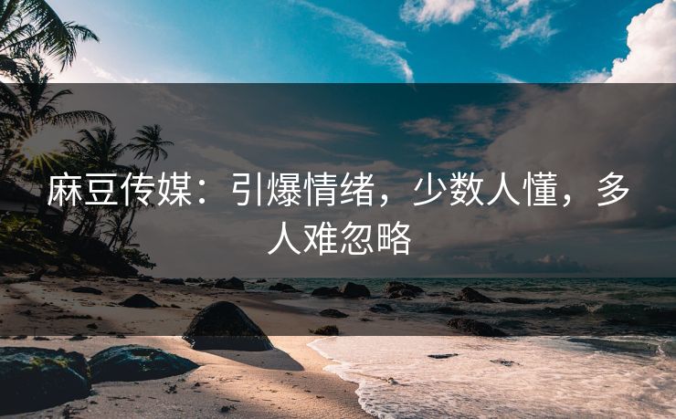 麻豆传媒:引爆情绪,少数人懂,多人难忽略 第1张 麻豆传媒:引爆情绪,少数人懂,多人难忽略 第1张