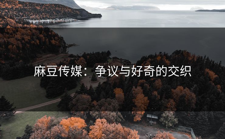 麻豆传媒:争议与好奇的交织 第1张 麻豆传媒:争议与好奇的交织 第1张